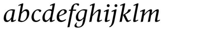 Vernacular Serif Italic