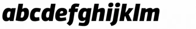 Vinkel Black Italic
