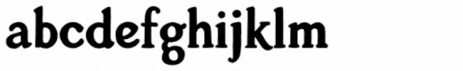 Vintage Fonts Collection VFC Ruiz