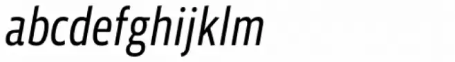Vista Sans Narrow Book Italic