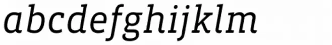 Vista Slab Book Italic