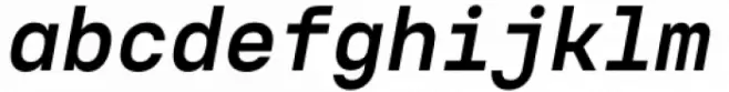 Voyager Mono Bold Italic