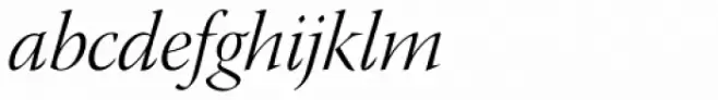 Warnock Pro Display Light Italic