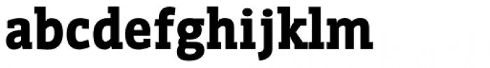 WerkSerif Black