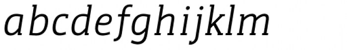 WerkSerif Italic