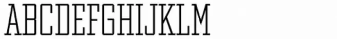 Winner Condensed Thin