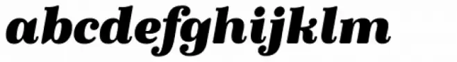 Winslow Book Black Italic