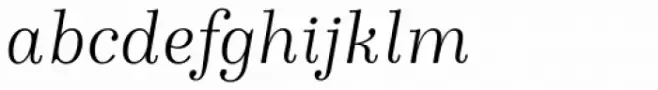 Winslow Book Light Italic