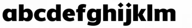 Without Alt Sans Black