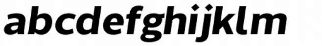 Without Sans Bold Italic