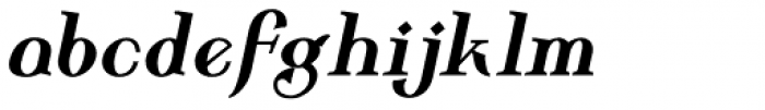 Wolverton Body Text Bold Italic