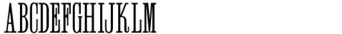 Wood Serif Poster JNL Regular