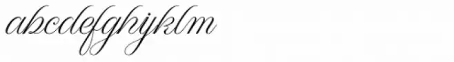 WT Hilton Script Normal