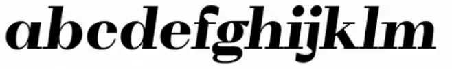 WT Volkolak Serif Display Black Italic