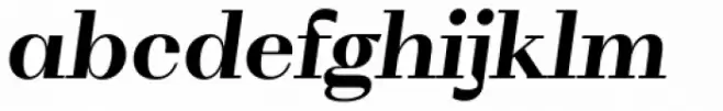 WT Volkolak Serif Display Bold Italic