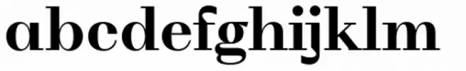 WT Volkolak Serif Display Bold