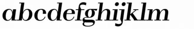 WT Volkolak Serif Display Medium Italic