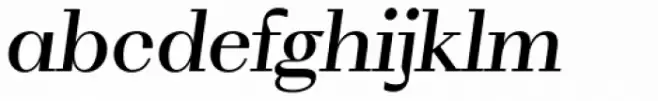 WT Volkolak Serif Display Regular Italic