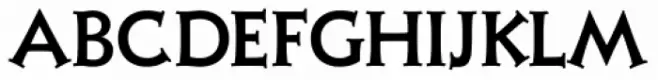 Xavier Serif Medium