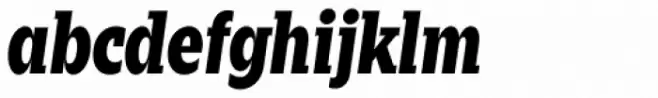 Zin Slab Condensed Black Italic