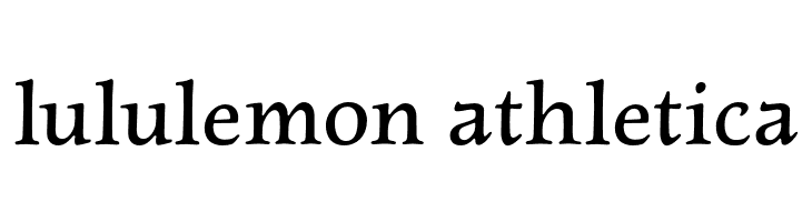 NewtSerifDemi  Descarca Fonturi Gratis