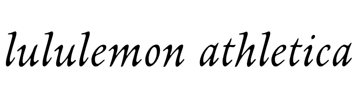 NewtSerif-Italic  Descarca Fonturi Gratis