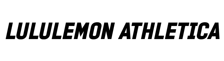 PROMINDER Italic  Descarca Fonturi Gratis