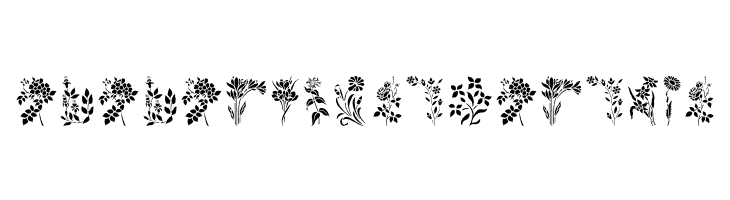 HFF Floral Stencil  Descarca Fonturi Gratis