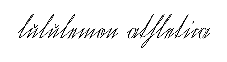 WiegelKurrentUNZ1T-Bold  Descarca Fonturi Gratis