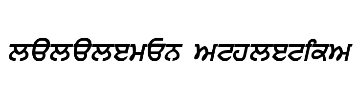 Punjabi  Bold Italic  Descarca Fonturi Gratis