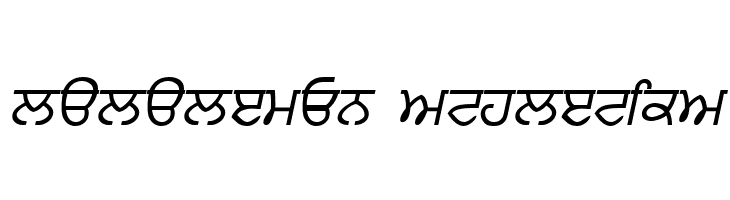 Punjabi  Italic  Descarca Fonturi Gratis