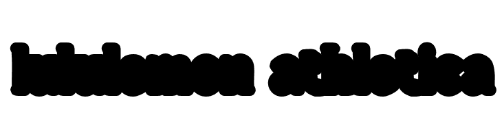 Wild Bandit Extrude  Descarca Fonturi Gratis