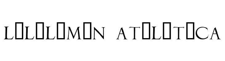 DuererLatinCapitals  Descarca Fonturi Gratis