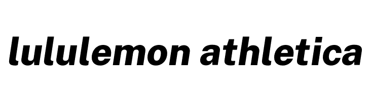 Public Sans ExtraBold Italic  Descarca Fonturi Gratis