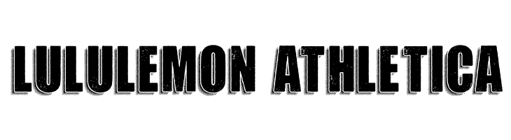 MOTION PERSONAL USE Bold  Descarca Fonturi Gratis