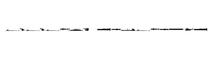 Ships  Descarca Fonturi Gratis