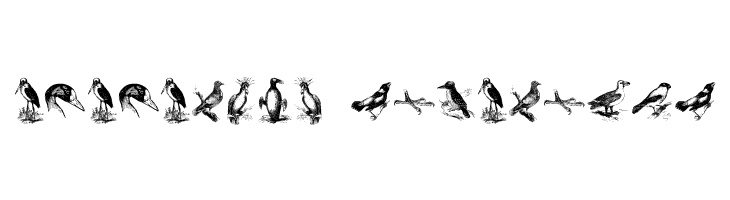 birds a  Descarca Fonturi Gratis