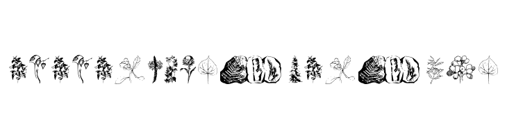 Botanicals  Descarca Fonturi Gratis