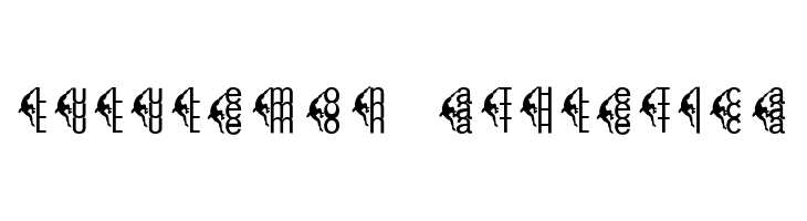 CentreClimbers  Descarca Fonturi Gratis