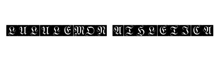 WittewittMajuscles-FlourishBricks  Descarca Fonturi Gratis
