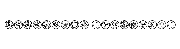 RosettaCalligraphiaOne  Descarca Fonturi Gratis