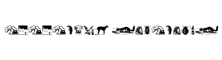 AnimalsOldfashion  Descarca Fonturi Gratis