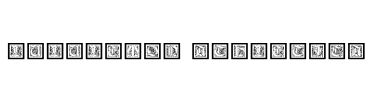 KaiserRotbartOneCaps  Descarca Fonturi Gratis