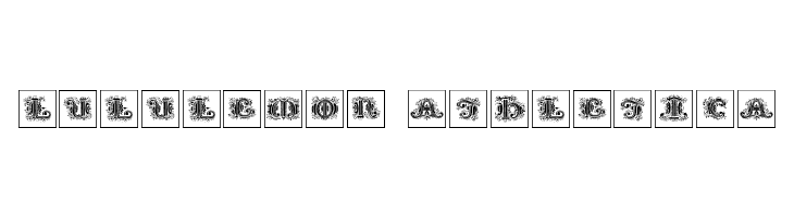 SilvestreInitialsSquares  Descarca Fonturi Gratis