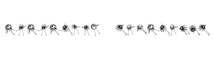 WildBirds  Descarca Fonturi Gratis