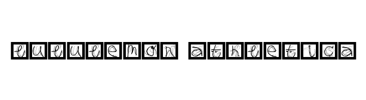 MouseAlphabets  Descarca Fonturi Gratis