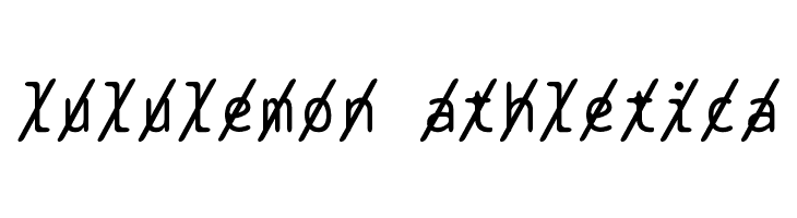 BPtypewriteSlashed  Descarca Fonturi Gratis