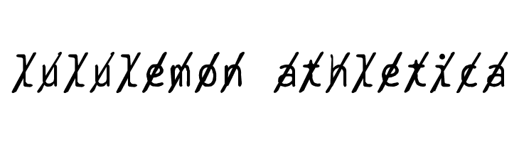 BPtypewriteDamagedSlashed  Descarca Fonturi Gratis