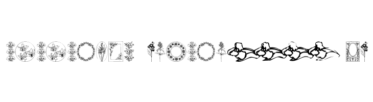 Wildflower IV  Descarca Fonturi Gratis