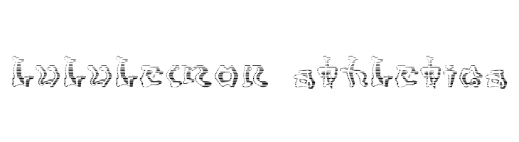 Mondrongo Gradient  Descarca Fonturi Gratis